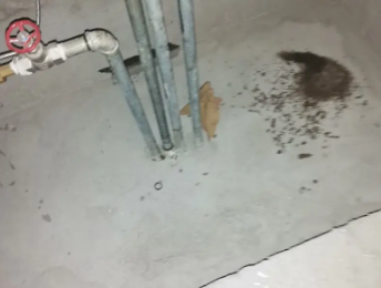 双城卫生间测漏水价格明细