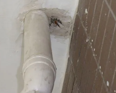 双城漏水检测哪家好